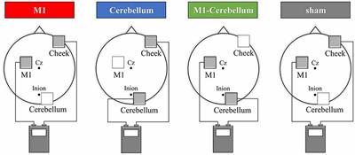 Transcranial Alternating Current Stimulation With Gamma Oscillations Over the Primary Motor Cortex and Cerebellar Hemisphere Improved Visuomotor Performance